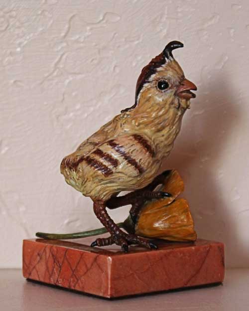 Quail Chick