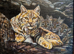 Kitty Kats